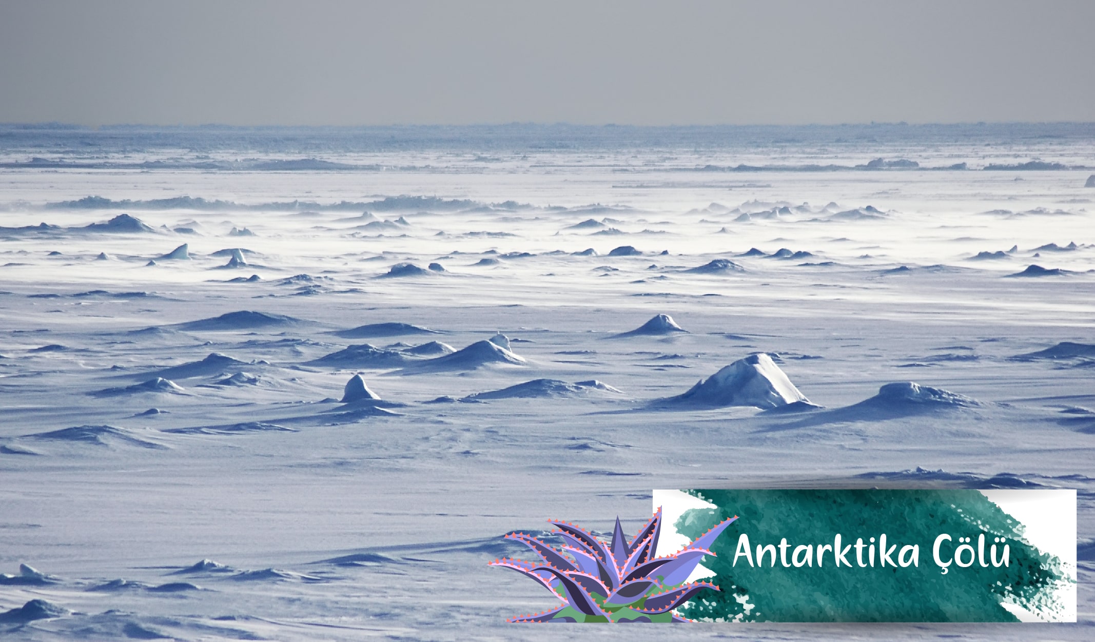 en büyük çöller, antarktika