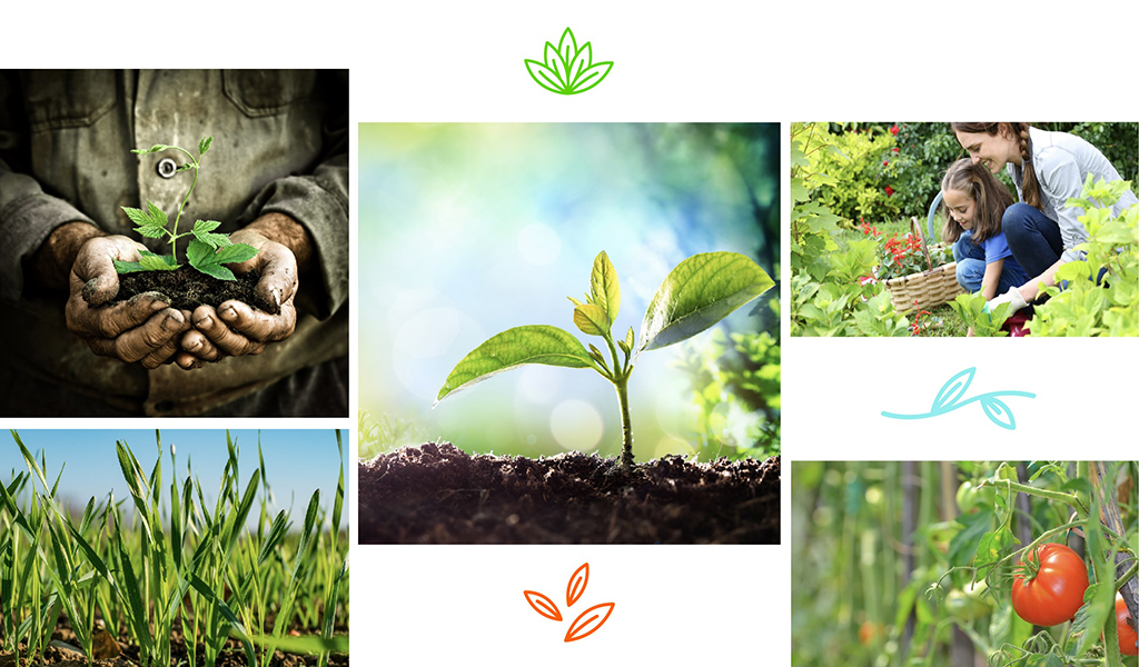 8 Madde İle Tüm Canlılar İçin Vazgeçilmez Olan Toprak