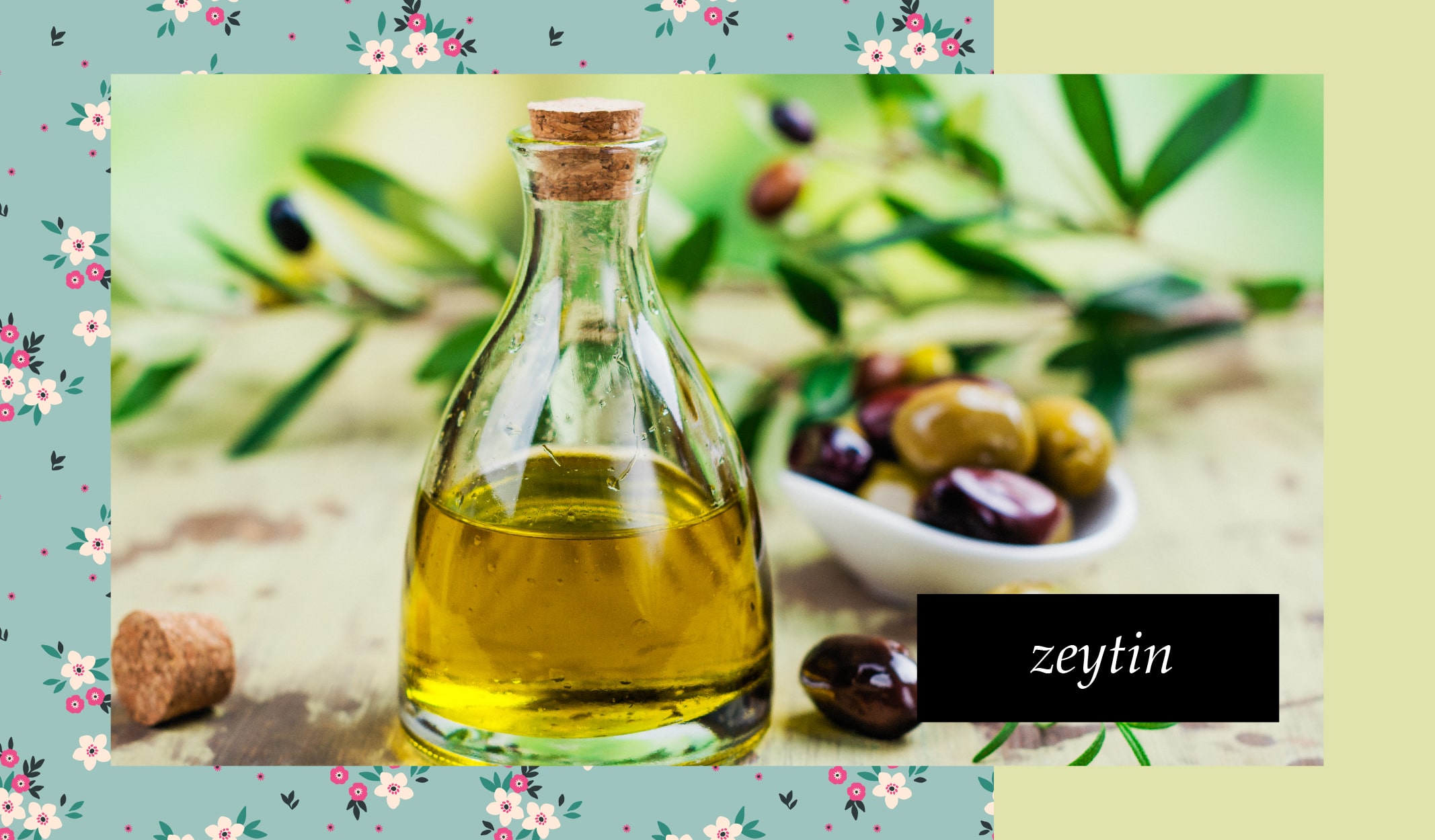 zeytn