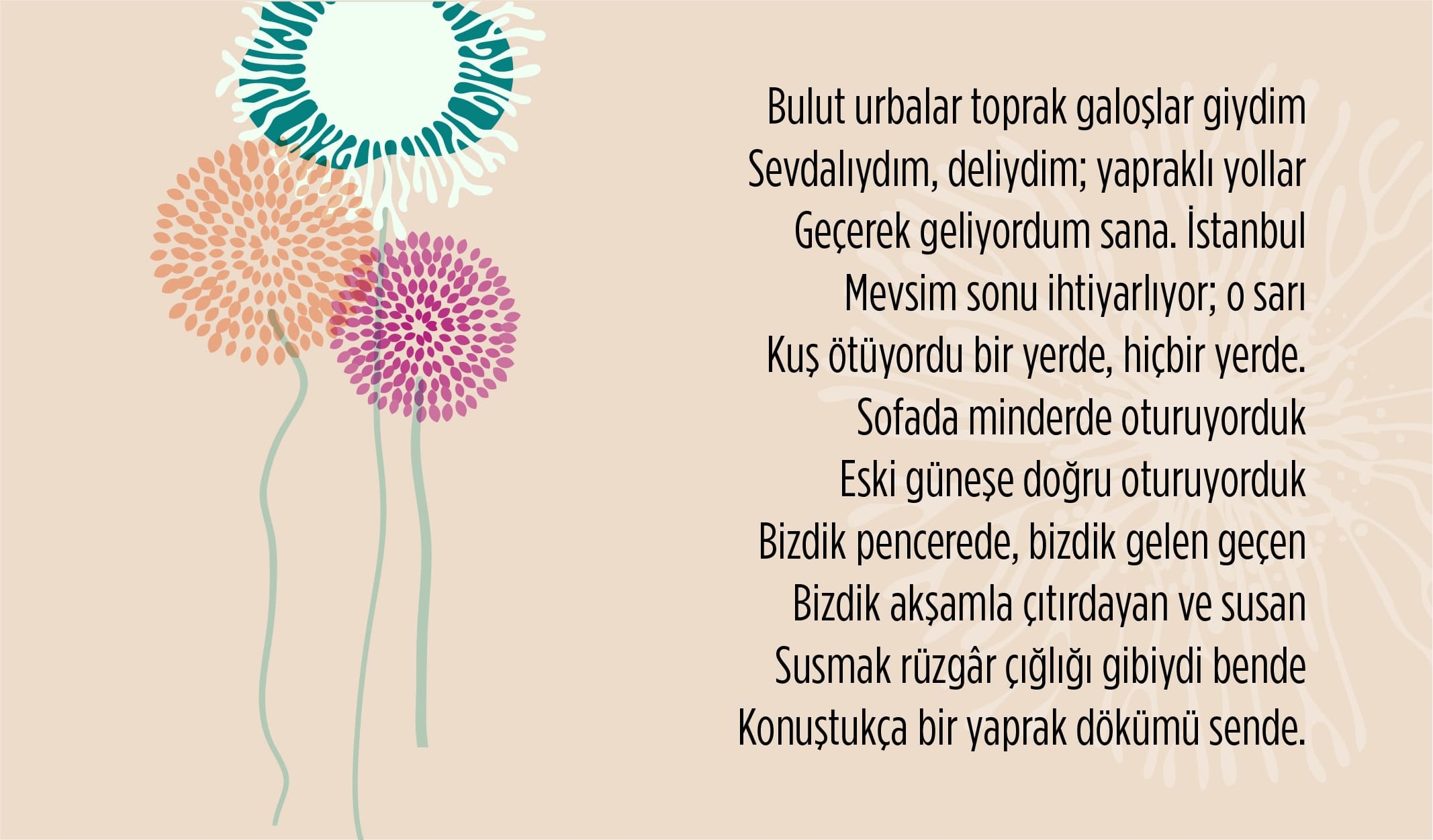 oktay rıfat, oktay rifat