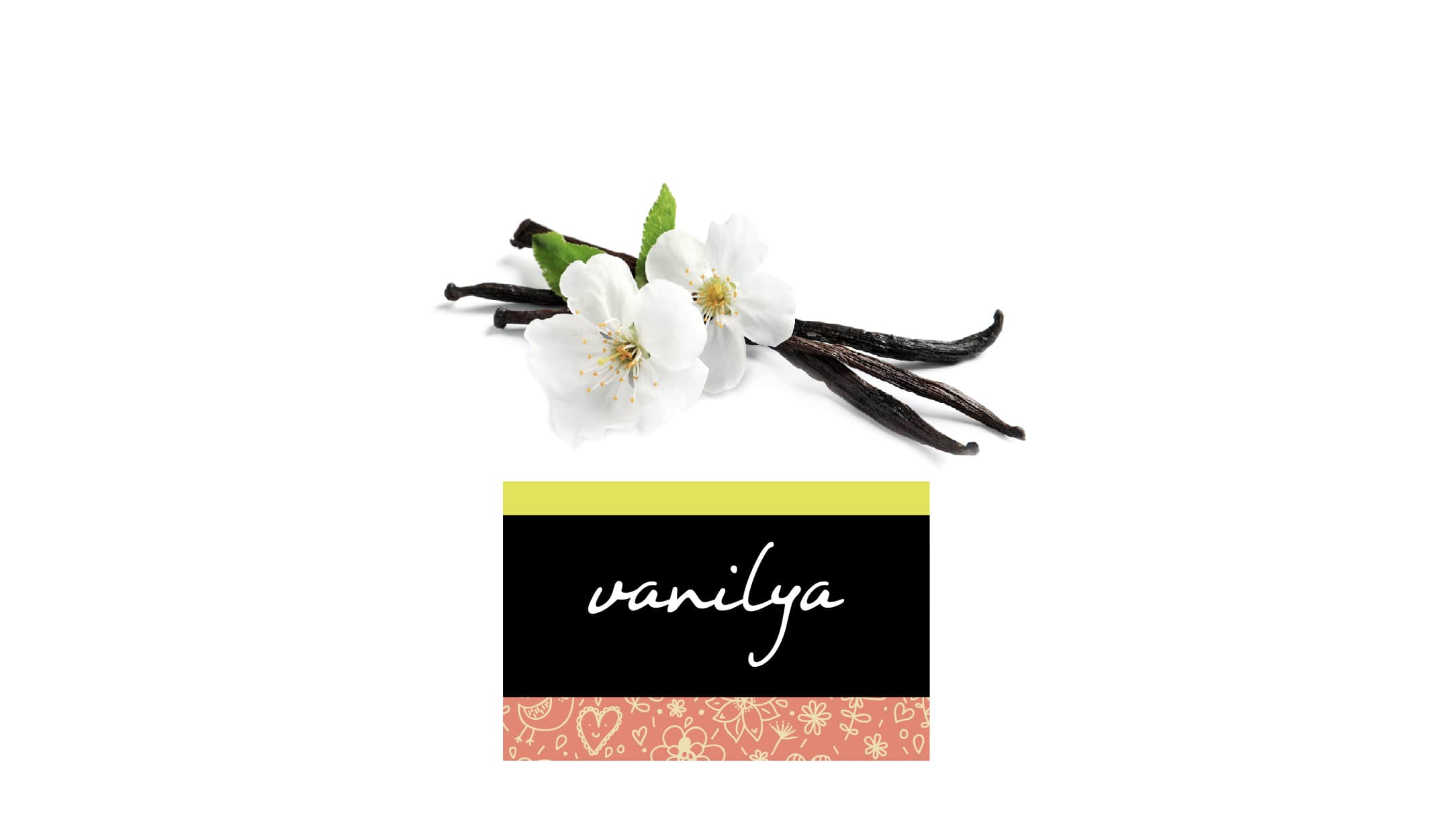 Nedensiz Mutluluğun Vanilya Hali