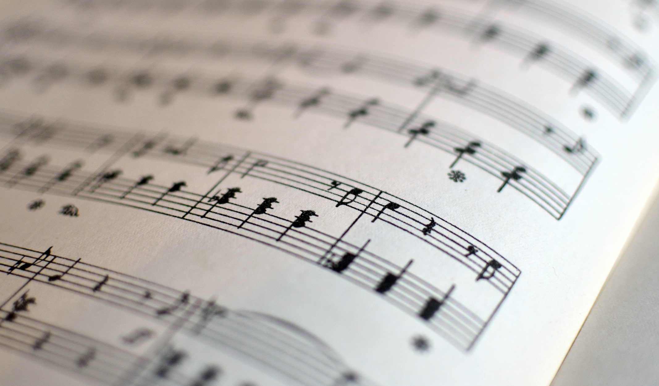 nota-08-min notaların anlamları