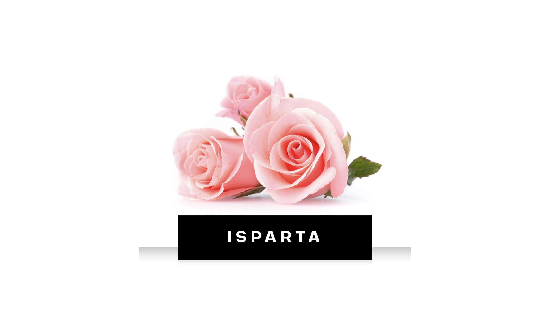 Pembe Güllerin Mor Lavantaların Masmavi Göllerin Şehri