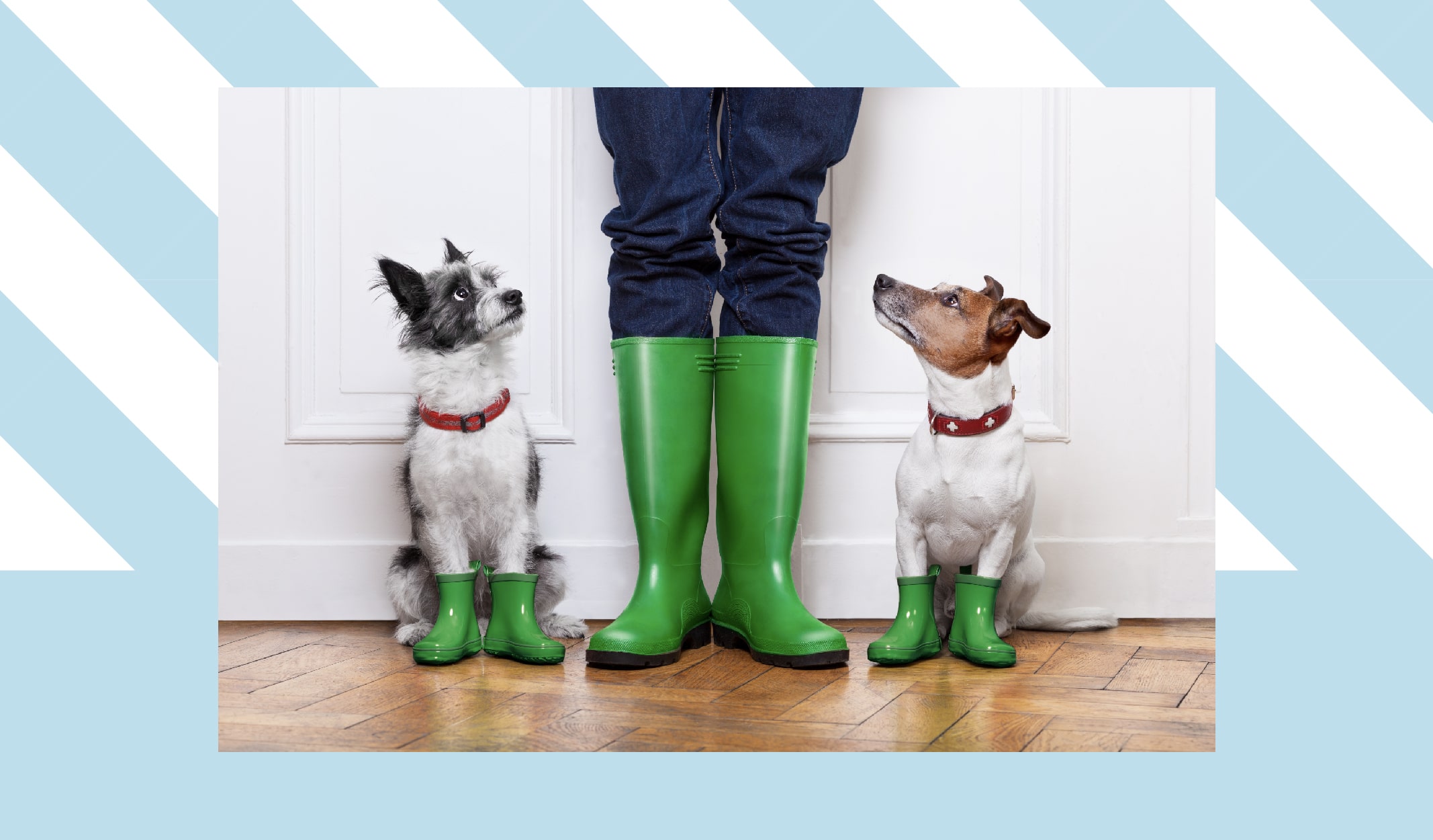 gunluk_hijyen-08-min