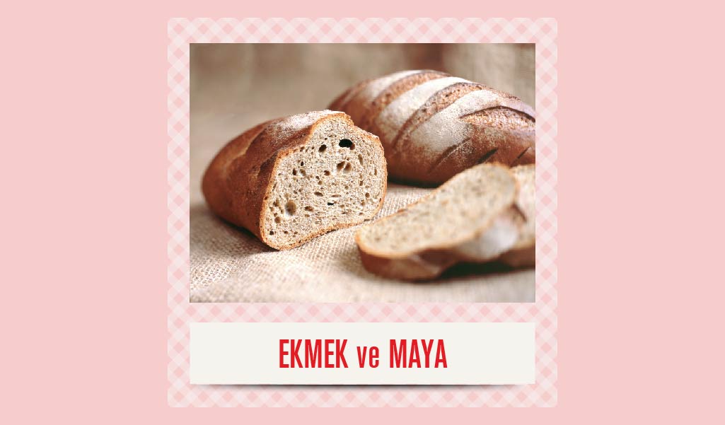 MAYASIZ EKMEK, EKMEKSİZ DÜNYA OLMAZ!