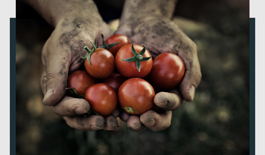 sürdürülebilirlik