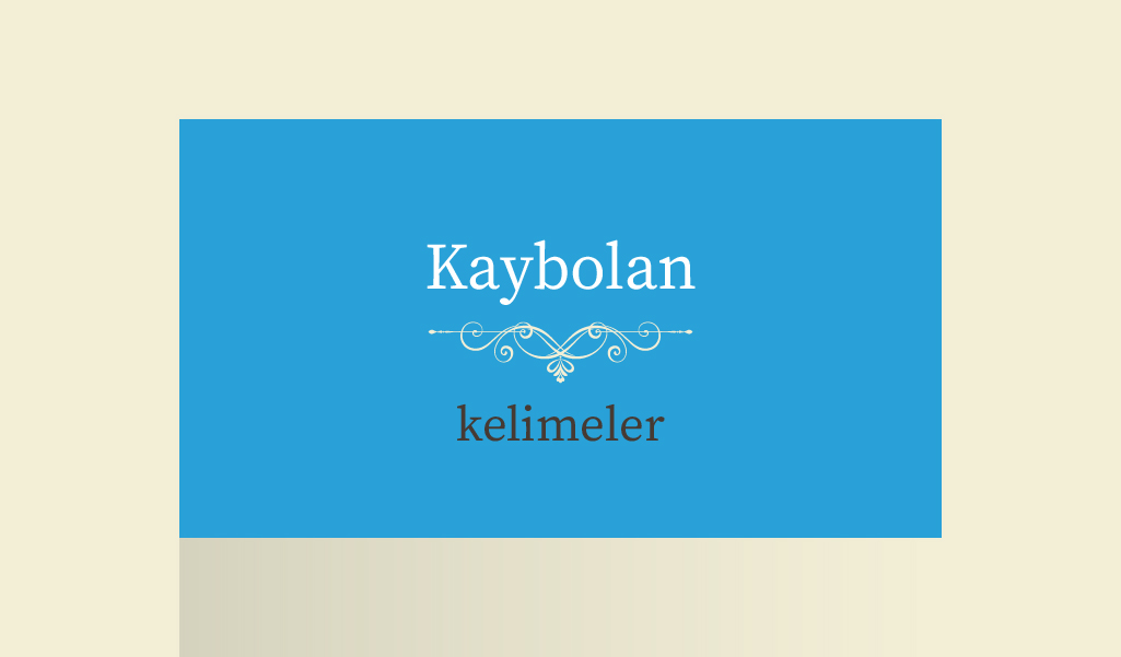 BU KELİMELERİ DAHA ÖNCE DUYMUŞ MUYDUNUZ?