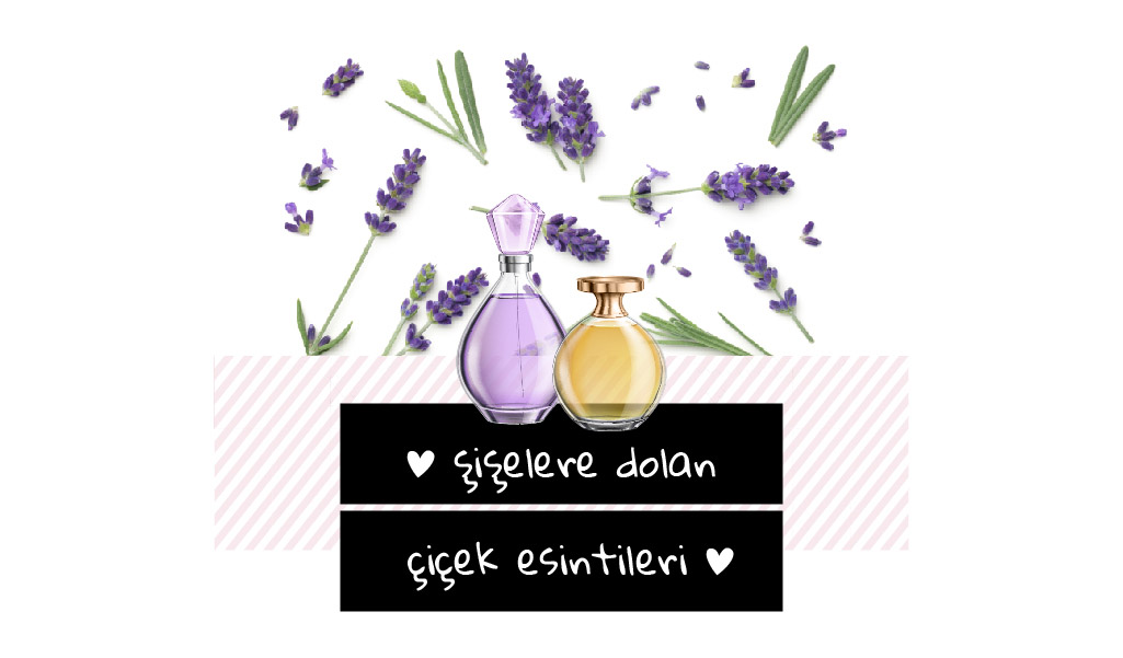 KOLONYAYA RENGİNİ VE KOKUSUNU VEREN BİTKİLER