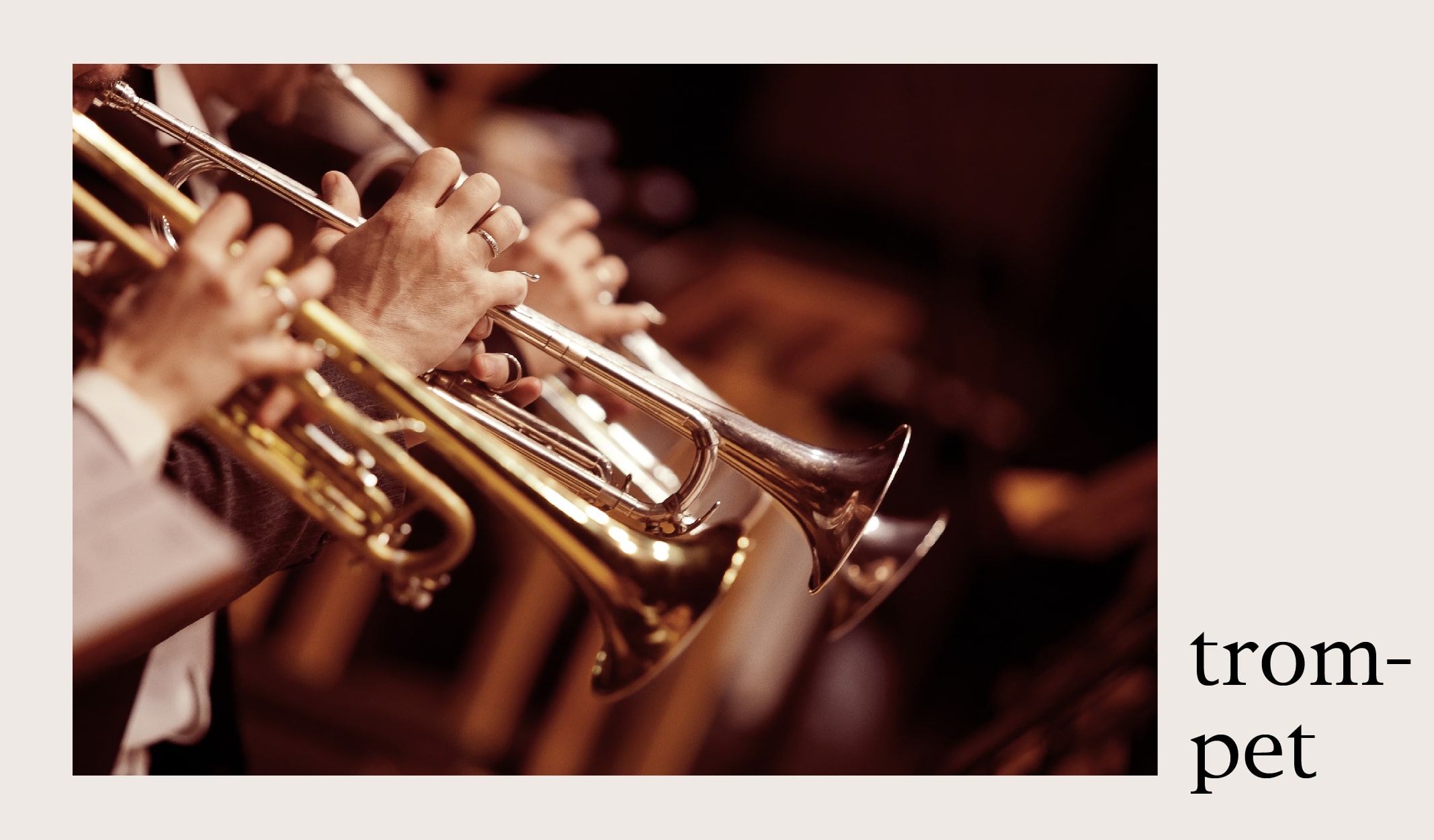 orkestra-calgi-08-min