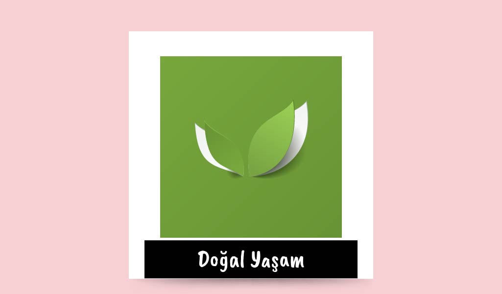 SÜRDÜRÜLEBİLİR KOCA BİR DÜNYA İÇİN MİNİK DETAYLAR