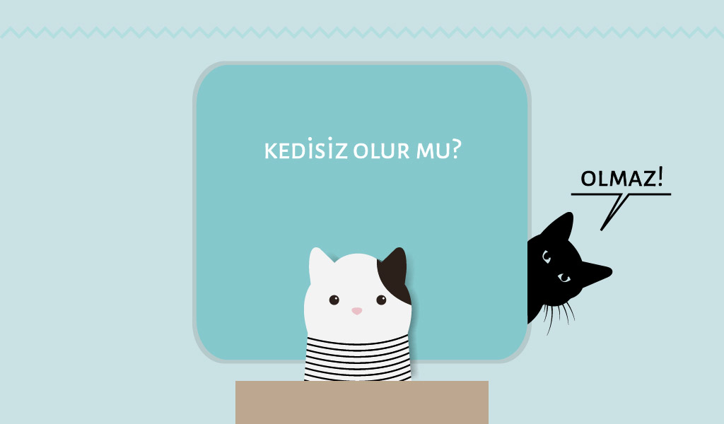 KEDİSİZ OLMAZ DEDİĞİMİZ ANLAR