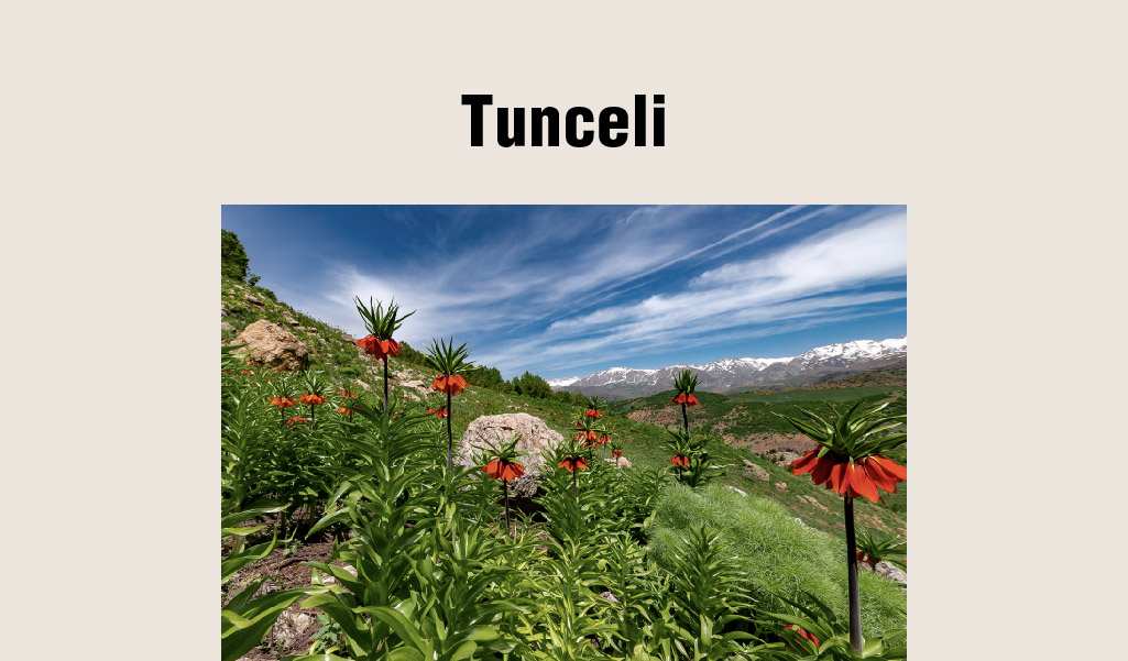 DOĞAL GÜZELLİKLERİYLE KEŞFEDİLMEYİ BEKLEYEN TUNCELİ