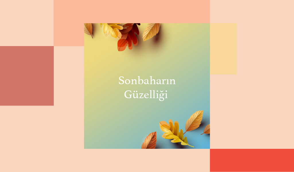 GÖZLERİNİZİ SONBAHAR MANZARALARINDA DİNLENDİRİN