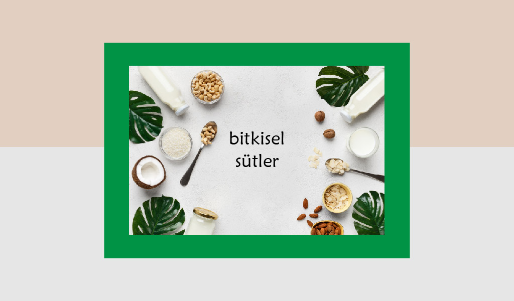 BİRBİRİNDEN FARKLI KOKU VE TATLARDAKİ BİTKİSEL SÜTLER