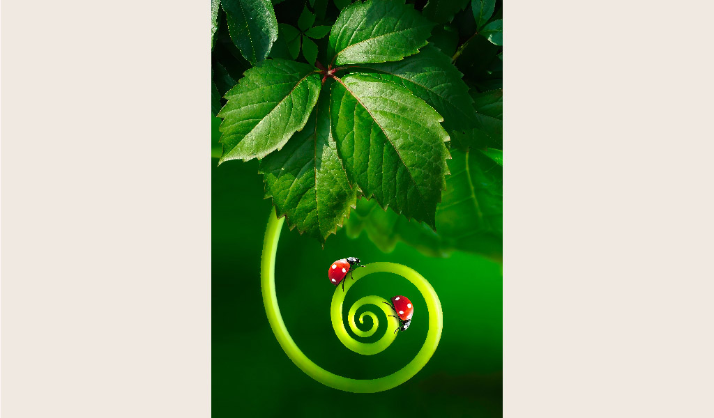 BU BÖCEKLER ÇİÇEKLER GİBİ RENGÂRENK