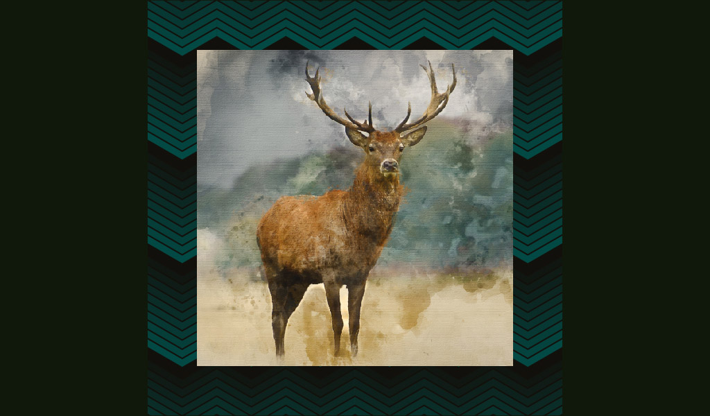 BENZEŞEN VE AYRIŞAN ÖZELLİKLERİYLE GEYİK AİLESİ