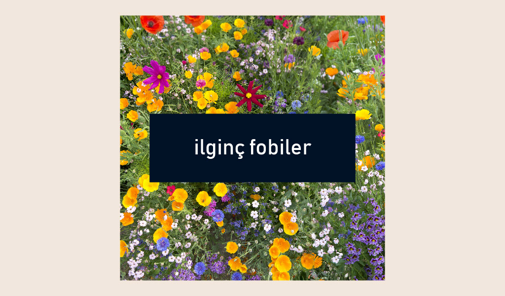 HİÇ BÖYLE FOBİ OLUR MU DEMEYİN!