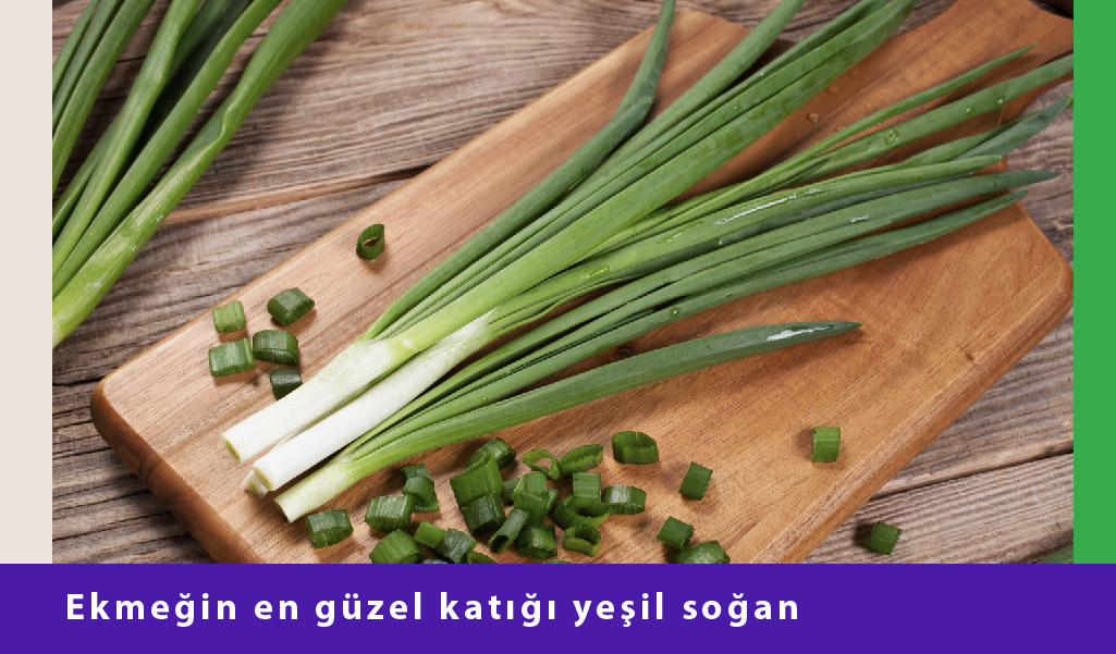 taze soğan