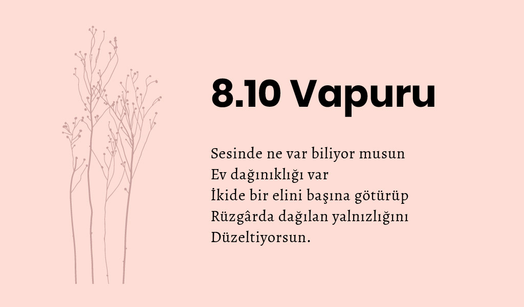 cemal_sureya_alintilar