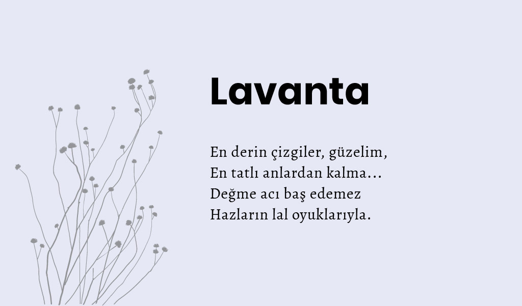 cemal_sureya_alintilar