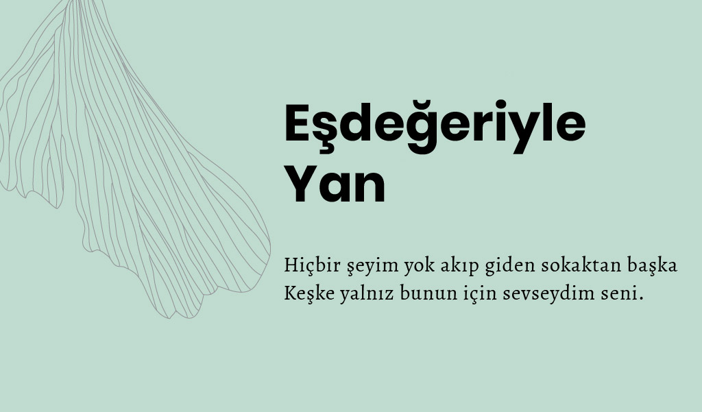 cemal_sureya_alintilar