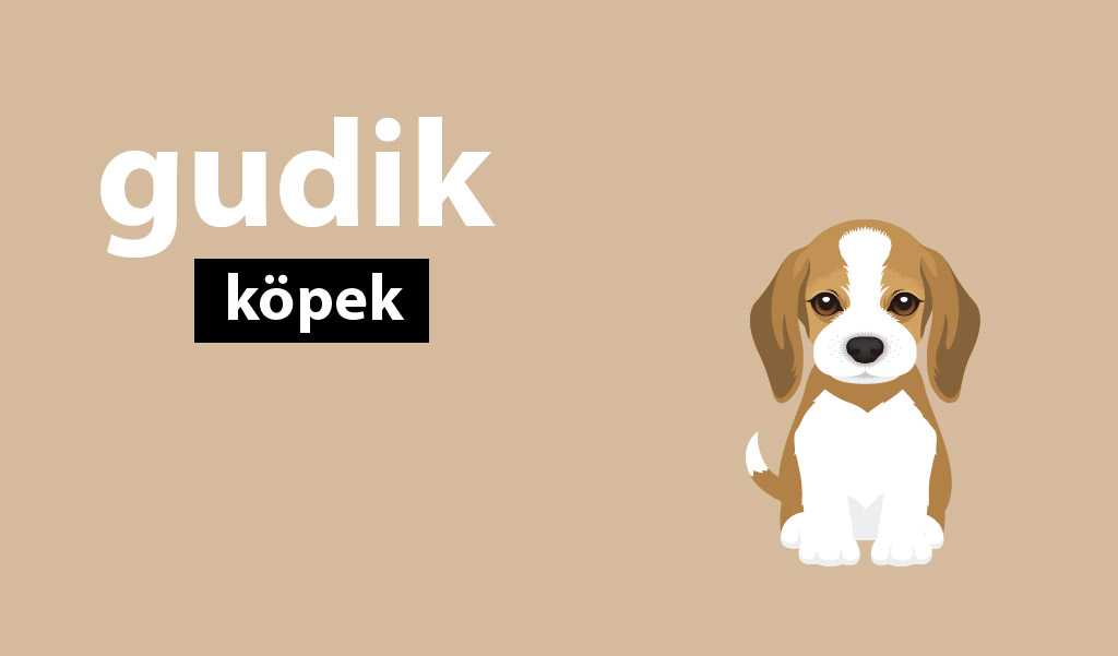 yavru köpek