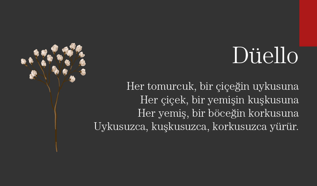 sablon özdemir asaf şiirleri