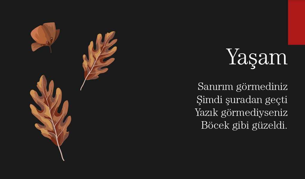 sablon özdemir asaf şiirleri