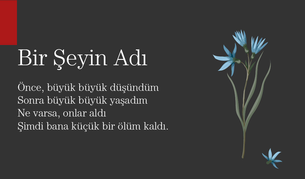 sablon özdemir asaf şiirleri