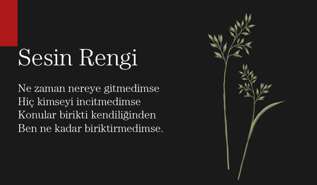 sablon özdemir asaf şiirleri