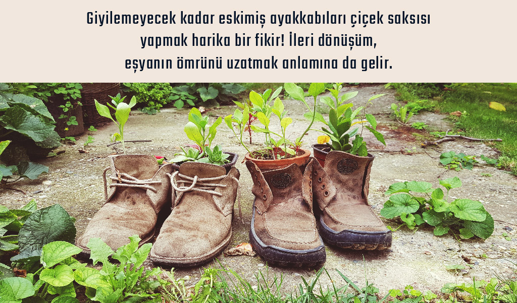 ayakkabı saksı