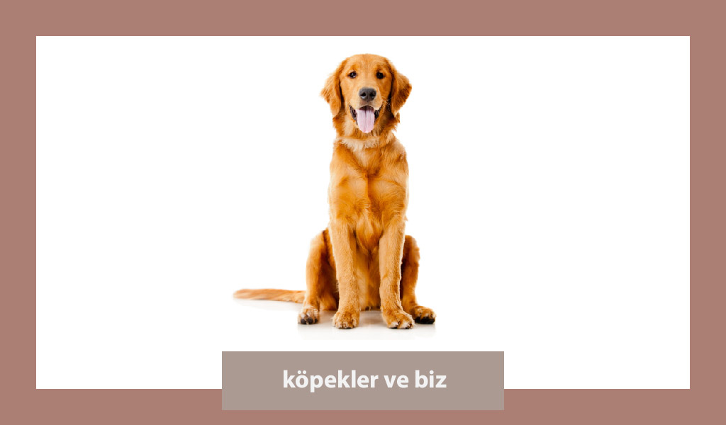 HAYATIMIZI ZENGİNLEŞTİREN CANLAR!