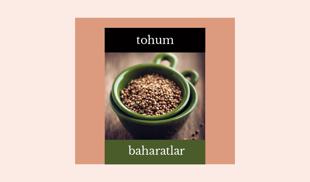 BİZE KAÇ TANE TOHUM BAHARAT SAYABİLİRSİNİZ?