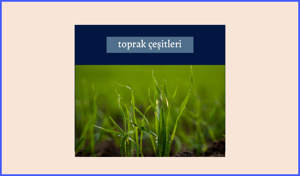 TOPRAK BAYRAMI HEPİMİZE KUTLU OLSUN!