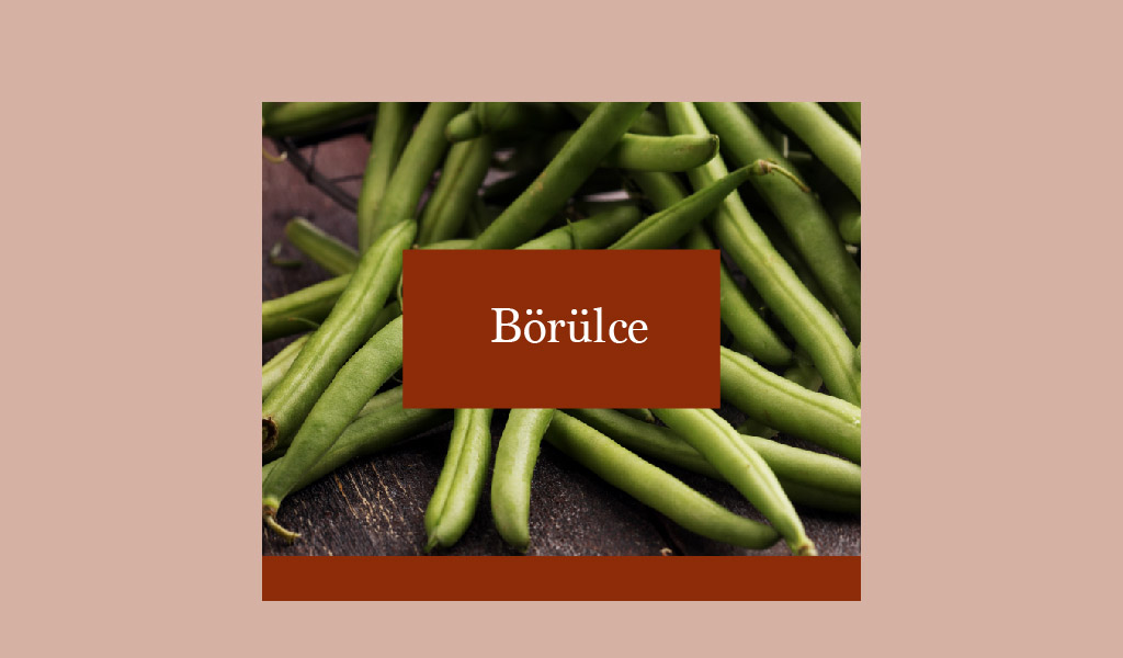 ÖZEL SOFRALARIN LEZZETİ: BÖRÜLCE