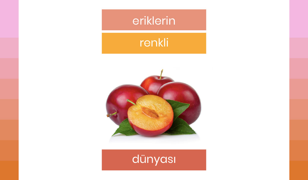 ERİĞİN RENGÂRENK DÜNYASI