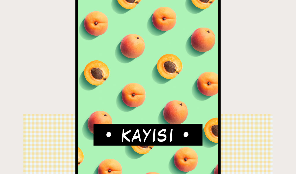 YAZ BAŞINDA OLGUNLAŞAN MEYVE: KAYISI