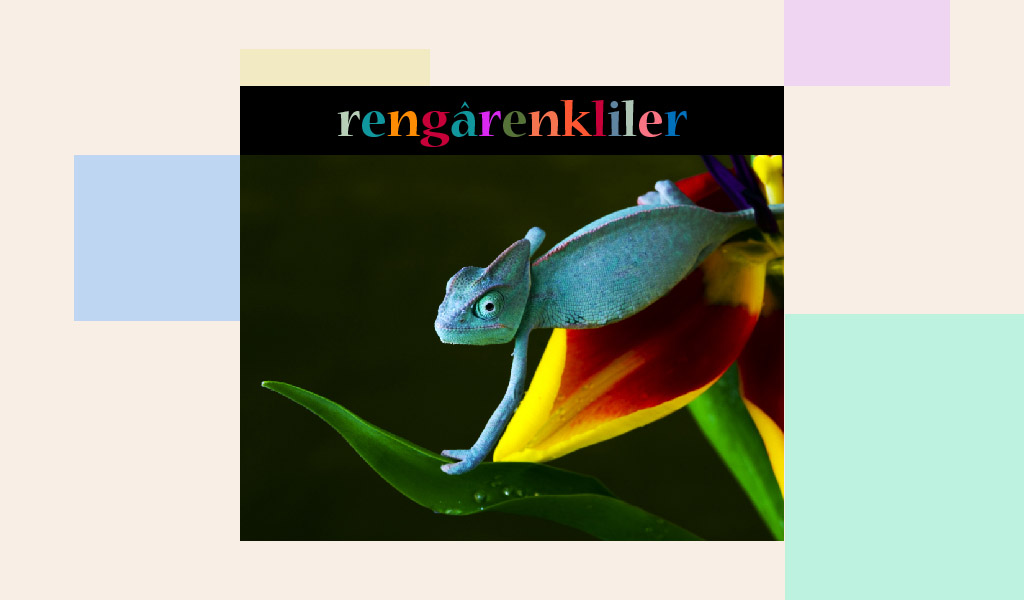 DOĞANIN EN RENKLİ SAKİNLERİ